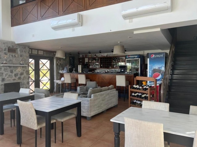 Luxury 2 Bedroom Penthouse surrounded by pure nature