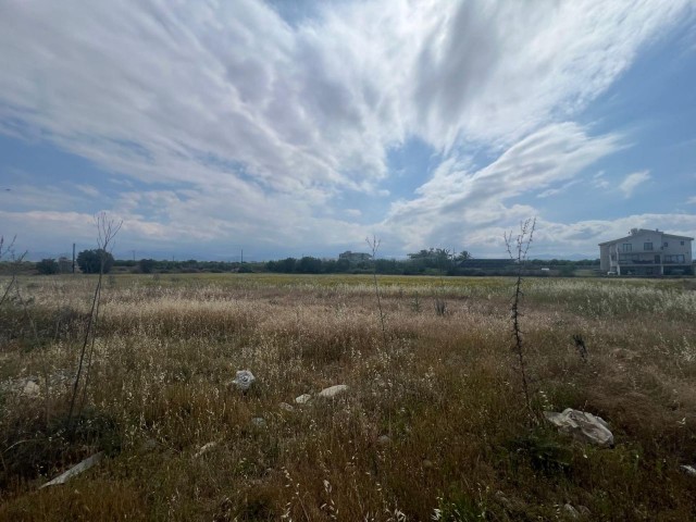 Güzelyurt ,Lefke Doğancı Bölgesinde Türk koçanlı Satılık Arsa - Fotoğraf 2