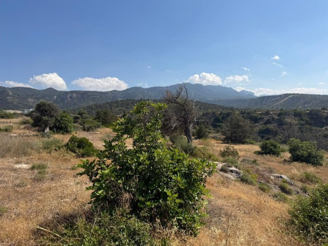 Girne Edremitte 850 m2 satılık arsa. - Fotoğraf 2