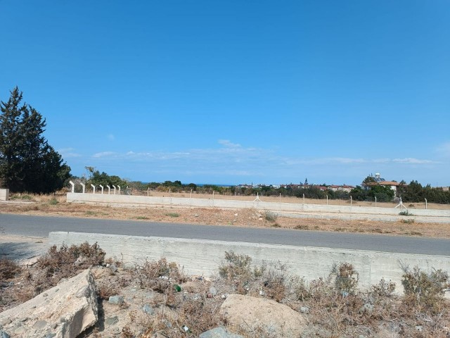 Girne Karşiyaka da 5,2 dönüm türk koçan satılık arsa.