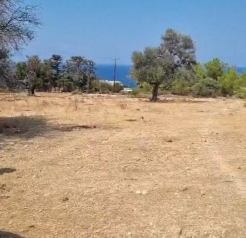 Girne Karşiyaka da, 10.5 dönüm kat karşılığı satılık arsa.
