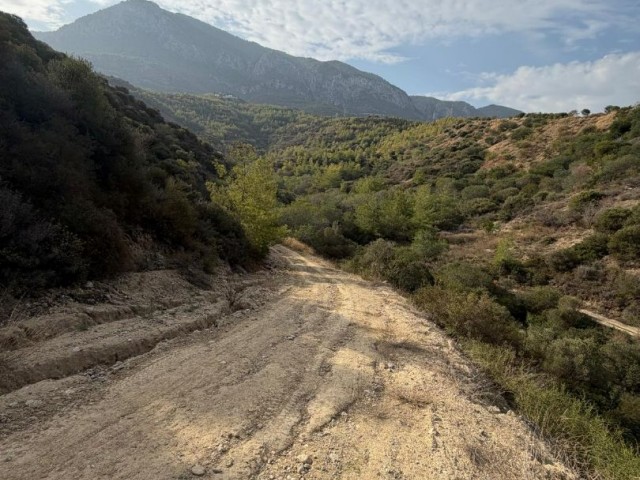 Girne Bellapayis te satılık türk koçan arazi, daire takası olur. - Fotoğraf 2