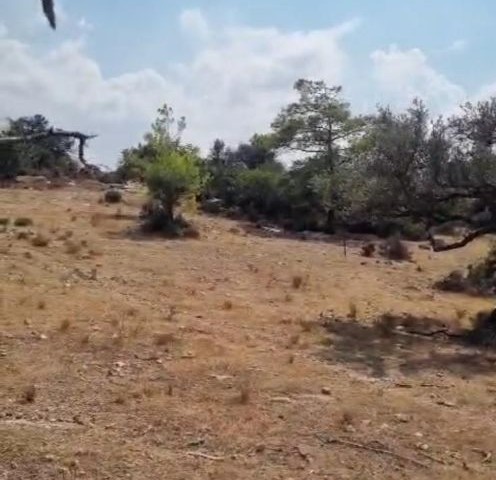 Girne Esentepe de 1 dönüm 3 evlek satılık arsa. - Fotoğraf 2