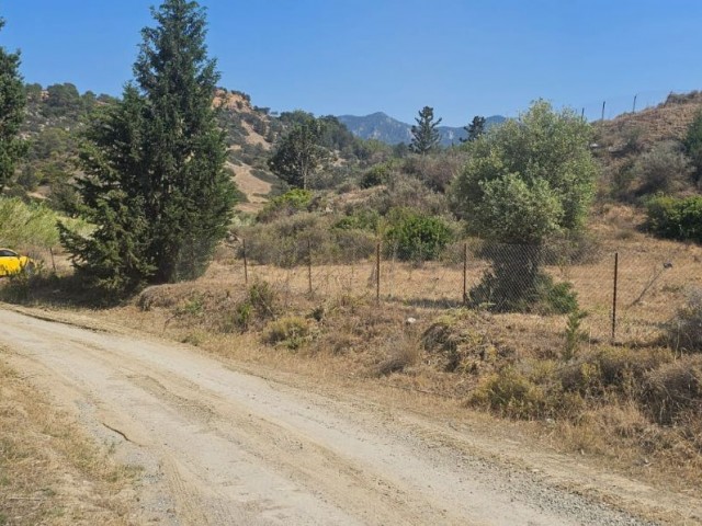 Girne Esentepe de satılık FIRSAT arazi.