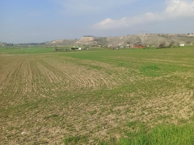 Lefke Gaziveren de 9,5 dönüm imara açık satılık arazi.