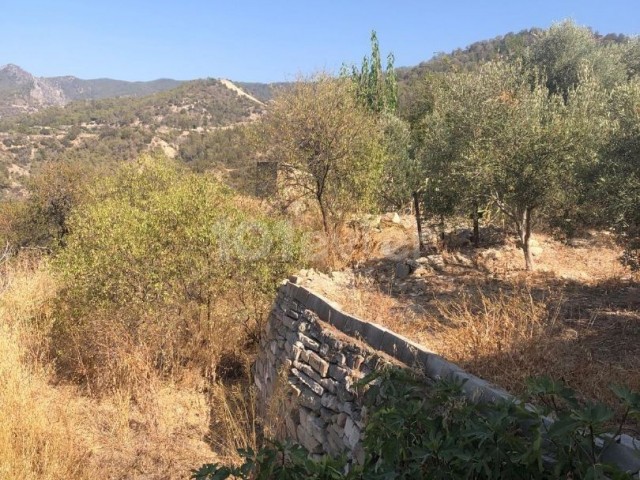 Girne Bahçeli’de doğa ile iç içe satılık arsa !! - Fotoğraf 2