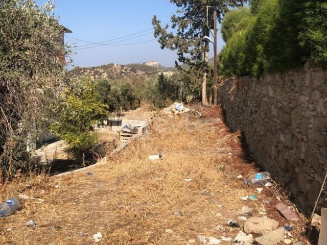 Girne Bahçeli’de doğa ile iç içe satılık arsa !! - Fotoğraf 3