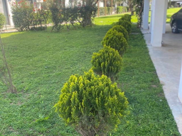 Girne Zeytinlik Ortak Havuzlu Sitede Teraslı 2+1 Satılık Daire