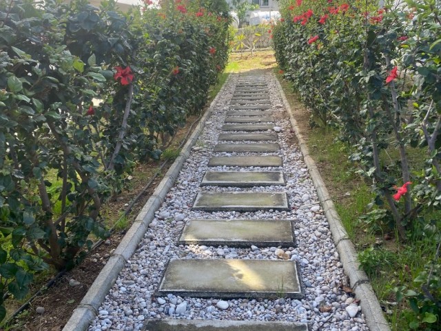 Girne Zeytinlik Ortak Havuzlu Sitede Teraslı 2+1 Satılık Daire - Fotoğraf 4