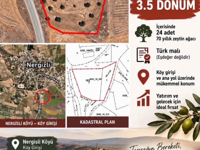 🌿 MAĞUSA NERGİSLİ KÖY GİRİŞİNDE | 3.5 DÖNÜM TÜRK KOÇANLI SATILIK ARAZİ