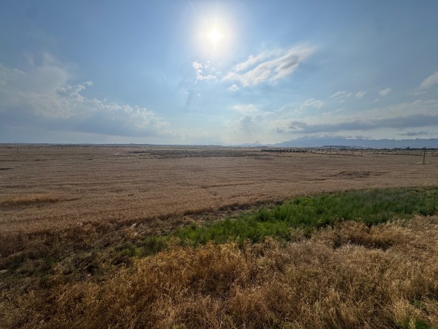 Royal Sun Elıte 1+1 | Long Beach’te Uygun Fiyatlı Yatırım | £400 Kira Garantisi - Fotoğraf 2