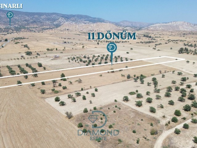 GEÇİTKALE-ÇINARLI ANAYOL ÜZERİNDE SATILIK 11 DÖNÜM ARAZİ