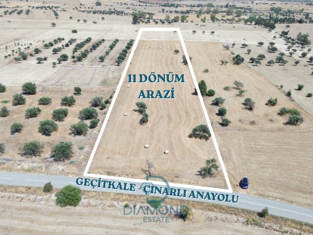 Geçitkale-çınarlı Anayol Üzerinde Satılık 11 Dönüm Arazi - Fotoğraf 2