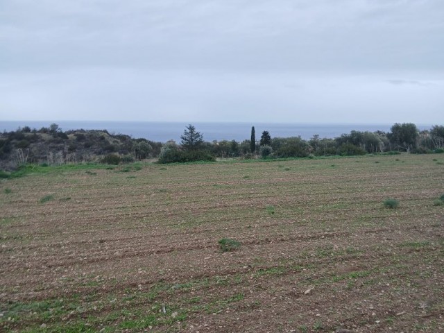 Girne Bahçeliköy'de Yatırımlık Satılık Arazi