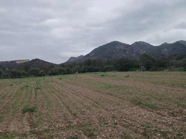 Girne Bahçeliköy'de Yatırımlık Satılık Arazi - Fotoğraf 2