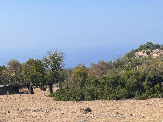 Girne Karaağaç'ta  Dağ ve Deniz Manzaralı Yatırımlık Tarla Satılık!
