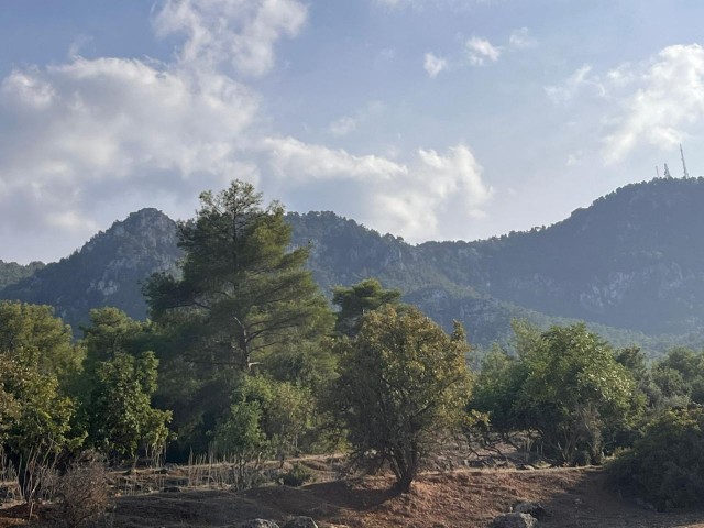 Girne Karaağaç'ta Dağ ve Deniz Manzaralı Yatırımlık Tarla Satılık! - Fotoğraf 2