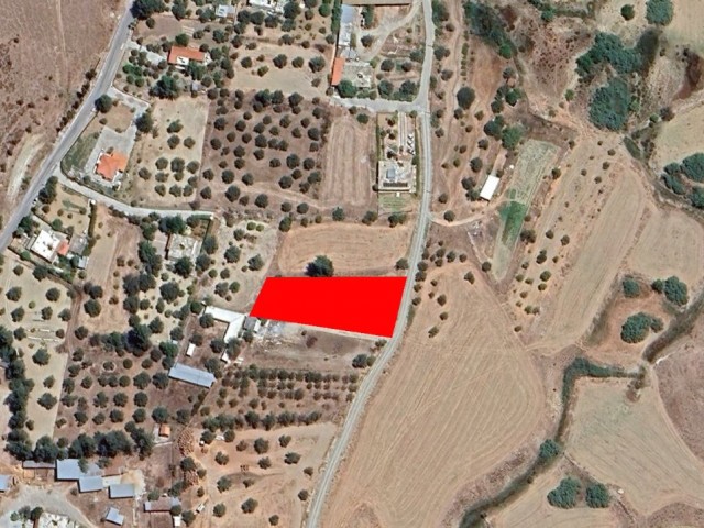 Yatırımlık Fırsat!!!girne Kozanköy Satılık Tarla - Fotoğraf 2