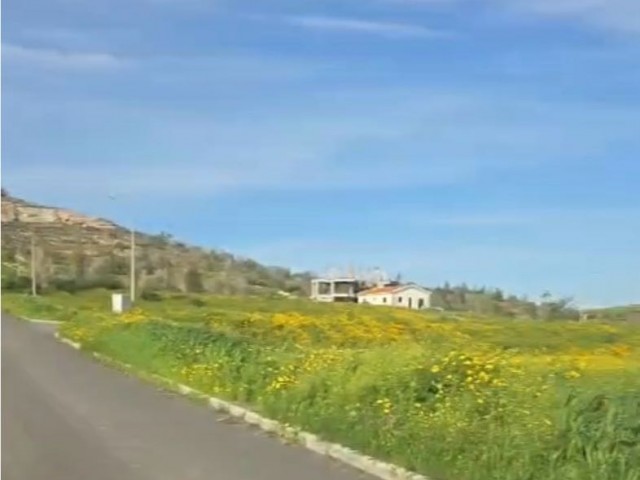 🏡 **lefkoşa Türkeli’de Kaçırılmayacak Fırsat! 639 M² Konut İmarlı Arsa – Yüksek Konum, Ferah Yaşam!** 🌿 - Fotoğraf 3