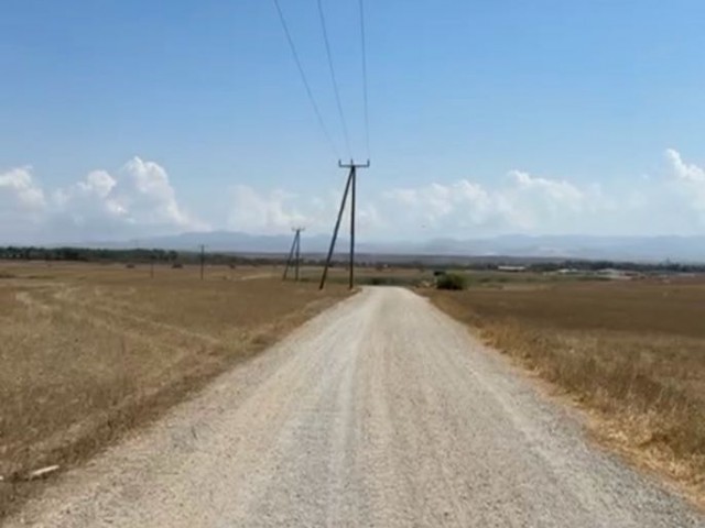 Alayköy Türkeli arsalarına yakın yol su elektirk mevcut