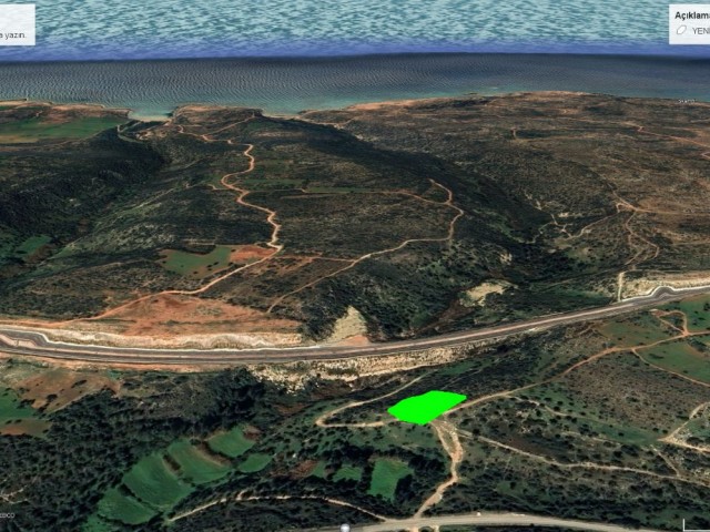 Yeni Erenköy Satılık Arsa - Fotoğraf 3