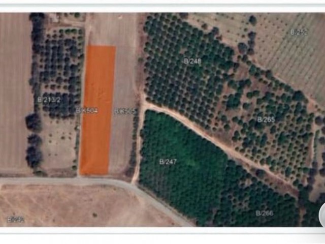 1️⃣ 🏞️🌿 Güzelyurt Kalkanlı Yolu Üzerinde | Türk Malı 1,5 Dönüm Arazi – Fasıl 96