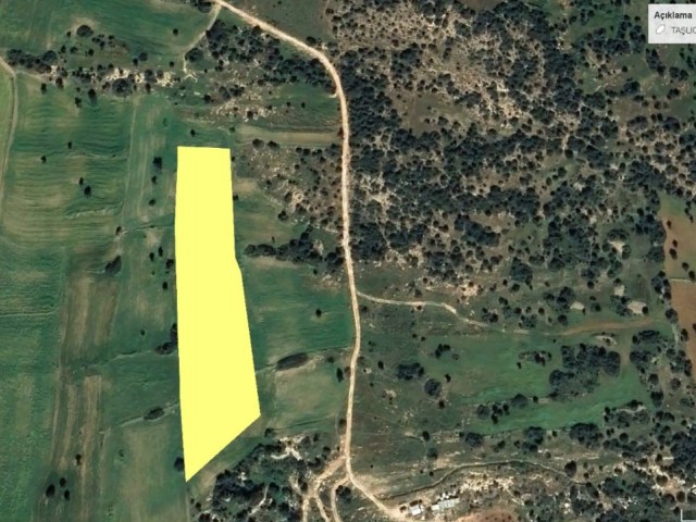 İskele Taşlıca Bölgesinde Denize 200 Metre Mesafede Satılık Arazi - Fotoğraf 4