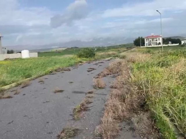 🔥 İskele Boğaztepe’de Denize Yakın Villa Arsası – Fiyat Avantajlı! - Fotoğraf 2