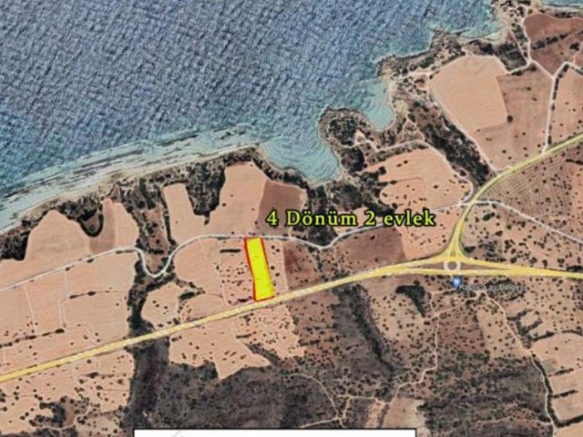 Kaplıca 4.5 Dönüm Denize 230 m Satılık Arsa - Fotoğraf 3