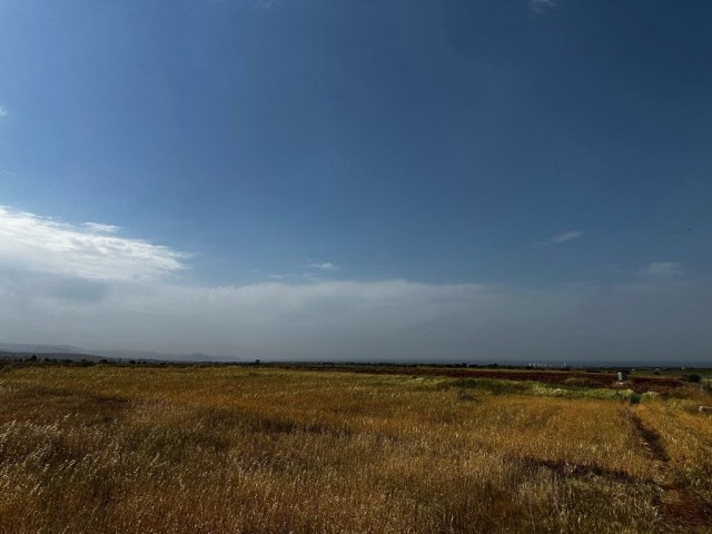 Taşpınar’da Türk Koçan 1 ve 2 Dönüm Arsalar - Fotoğraf 2