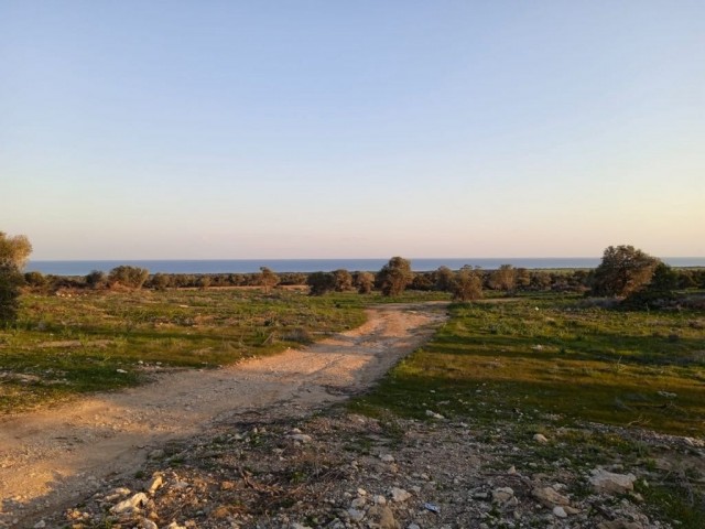 Satılık