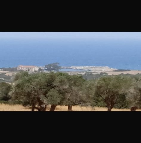 Satılık - Fotoğraf 3