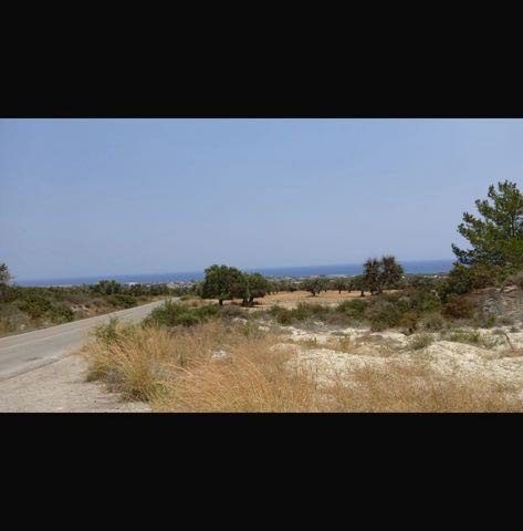 Satılık - Fotoğraf 4