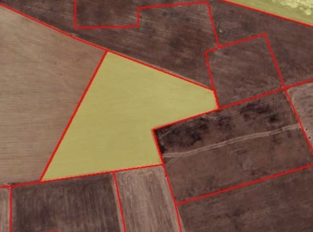 Mağusa mutluyakada satılık 8036 metre kare tarla