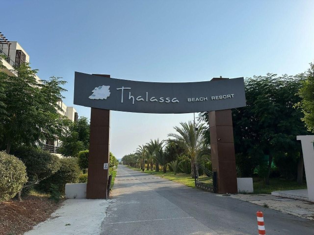 Thalassa Beach Resort'ta Satılık Sıfır 3+1 Daire