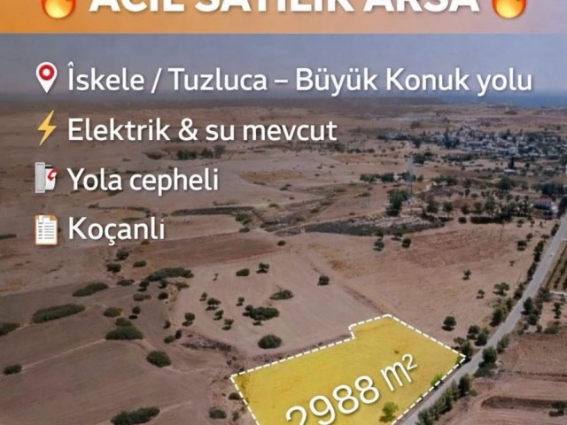 Turk Koçan Iskele Tuzluca- Büyükkonuk, tarım, zeytin (Araba Takas alabilir)