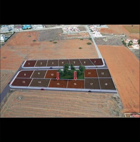 İskele bahçeler’de 625 m2 kare arsa ‘ bütün alt ve üst yapısı hazır .. - Fotoğraf 3