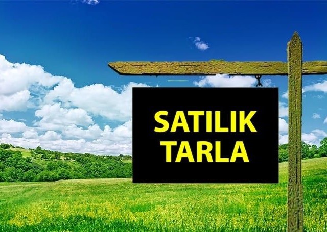 Girne Tepebaşı köyünde satılık 6 dönüm Türk Koçanlı tarla - Fotoğraf 3