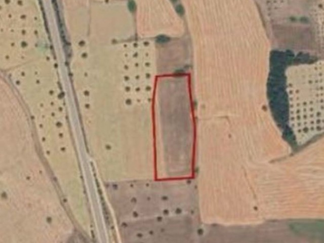 Bütükkonuk senmar anayolunda satılık 6018 metre kare tarla (resmi yolu var )