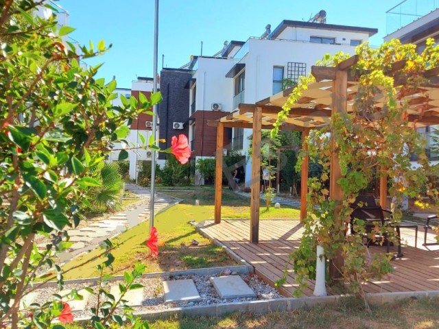 Zeytınlık te Satılık Fırsat Daıre 2 +1