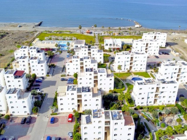 Kuzey Kıbrıs Emlak: Aphrodite Beach Resort’te denize sıfır, bahçeli 3+1 daire SA-3-0310 - Fotoğraf 4
