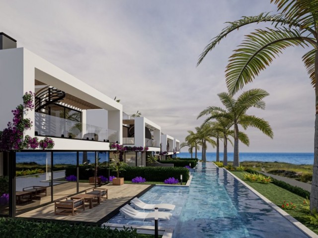 Aurora Bay - Fotoğraf 4