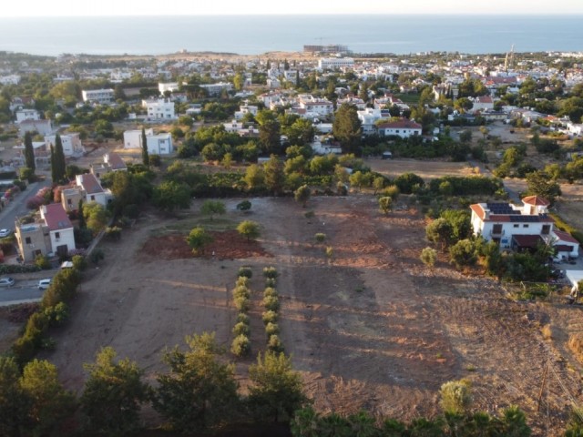 Çatalköy’de Projesi Hazır 7 Dönüm Arazi! - Fotoğraf 3