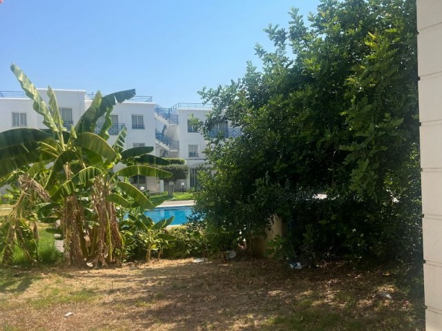 Alsancak 1+1 Loft Daire - Fotoğraf 2