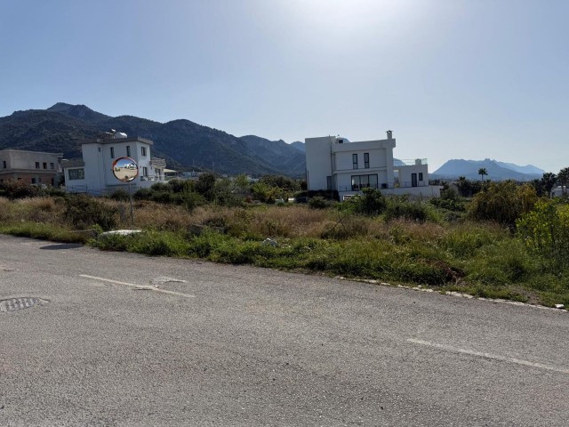 Sahibinden Çatalköy'de Önü Kapanmaz Deniz Manzaralı 1087 m2 Arsa - Fotoğraf 3