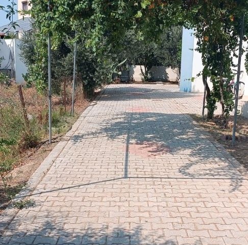 4 +1 Metehan villa - Fotoğraf 4