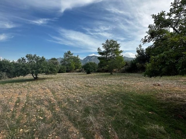 Girne/Karaağaç'da satılık 6 dönüm 1 evlek arazi