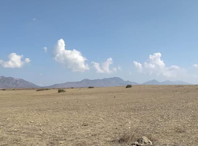 Girne/Dağyolu (fota)'da satılık tarımsal arazi