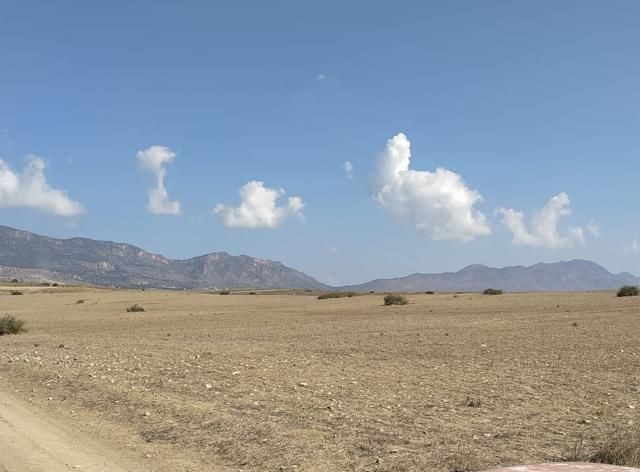 Girne/Dağyolu (fota)'da satılık tarımsal arazi