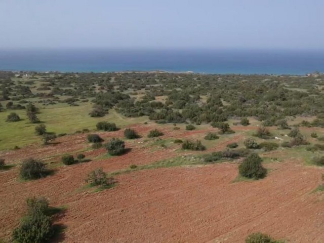 GAZİMAGUSA/TATLISU'da satılık 16 dönüm 1 evlek arazi